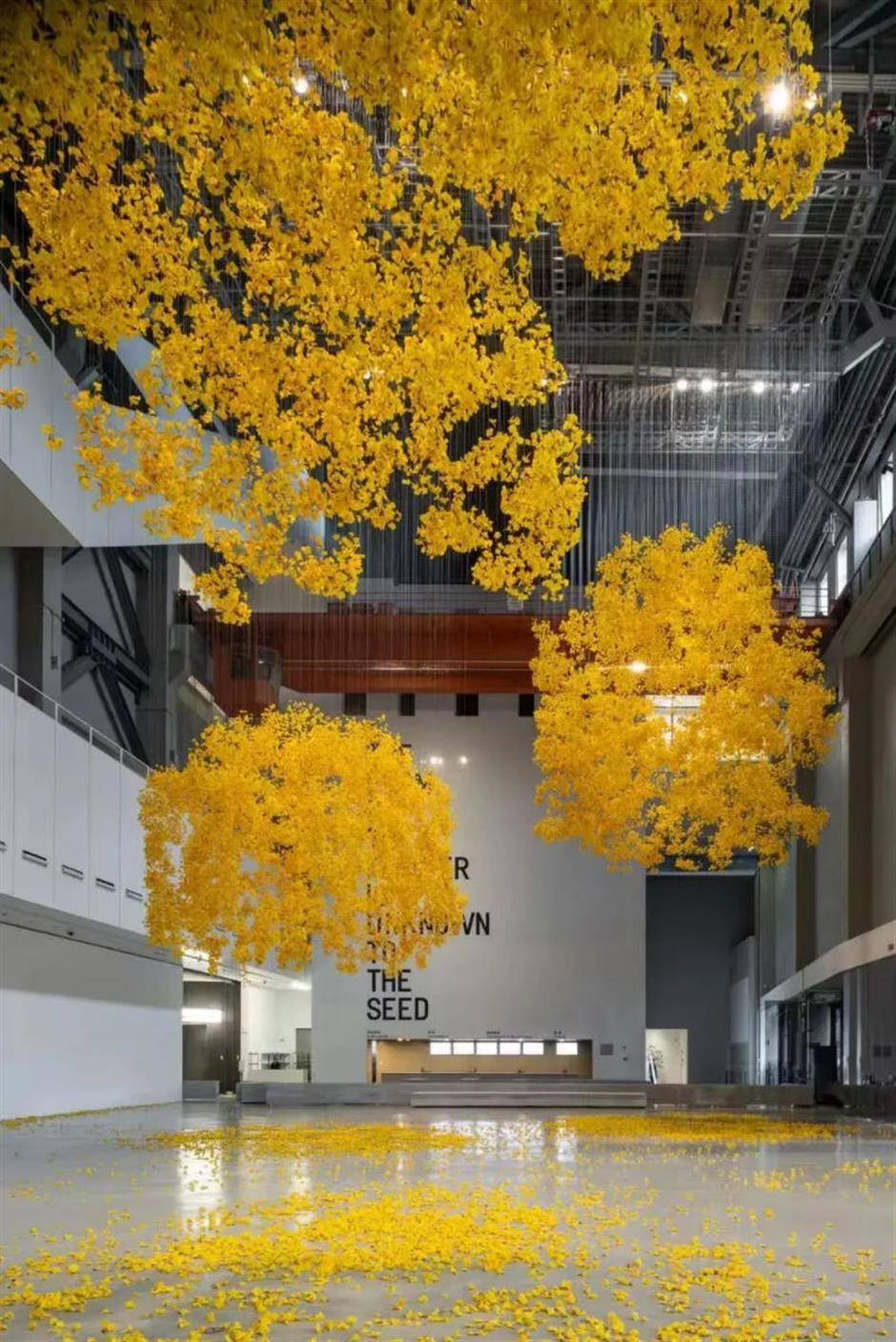 C位预定!上海12月看展打卡攻略