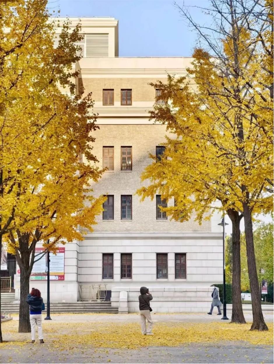 上海银杏浓度已达99%!