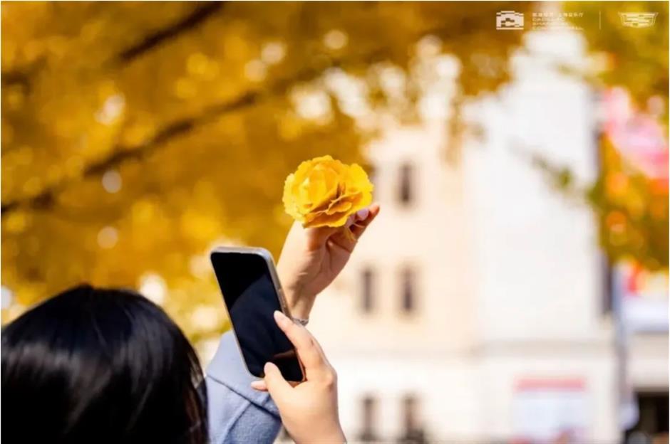 上海银杏浓度已达99%!