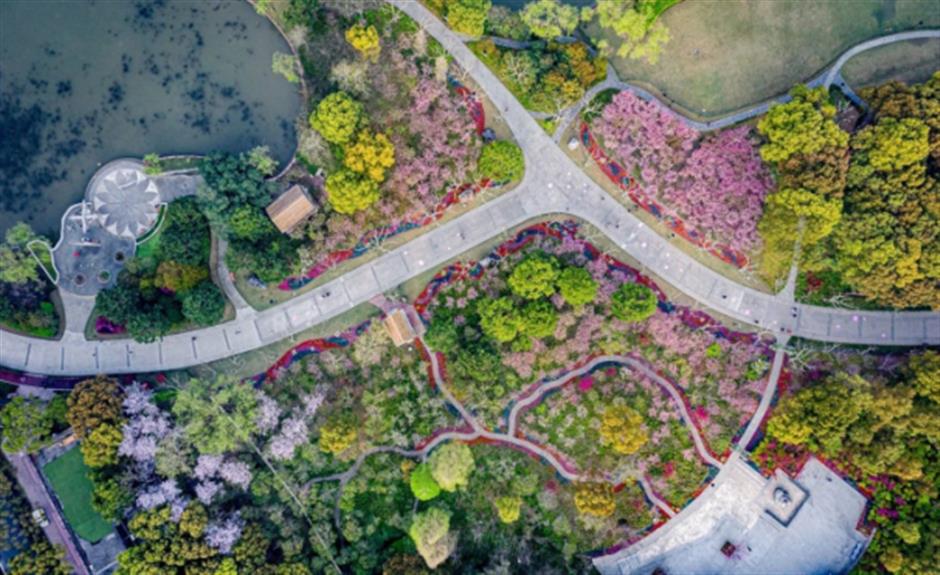 【旅超】本週打卡楊浦、黃浦!大批惠遊福利,快來解鎖→
