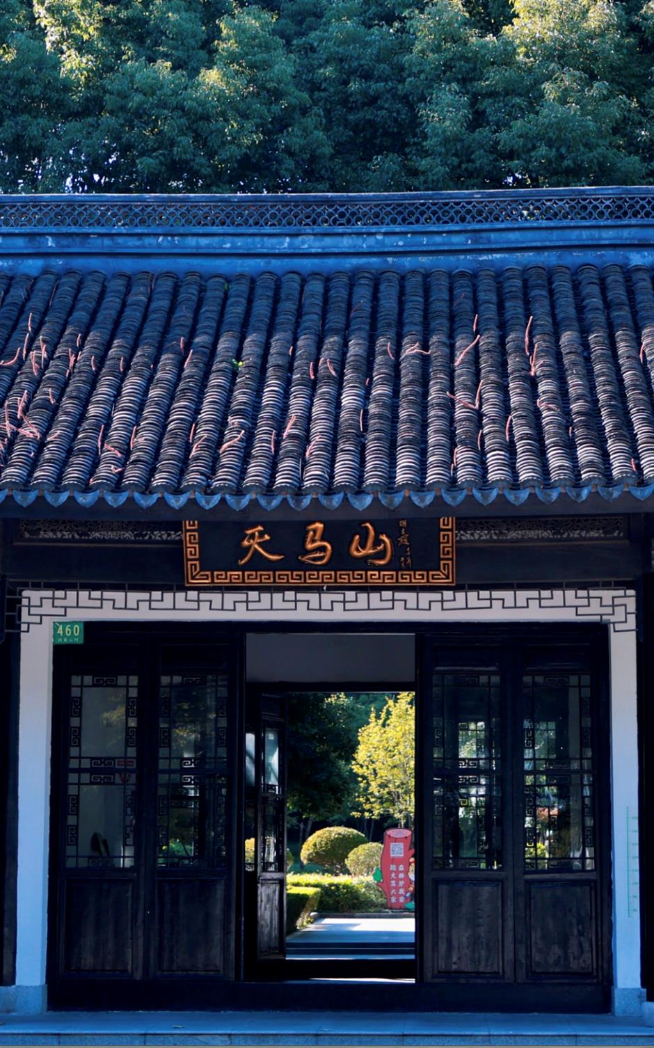 去爬山!这些五彩山林,竟然都在上海!