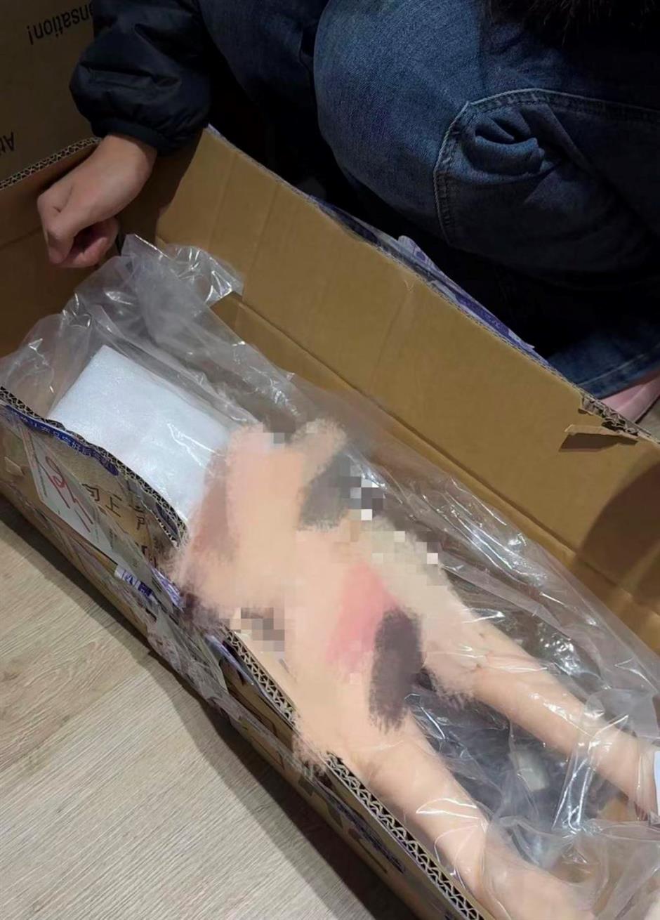 Investigation Uncovers Gray Market for Childlike Sex Dolls