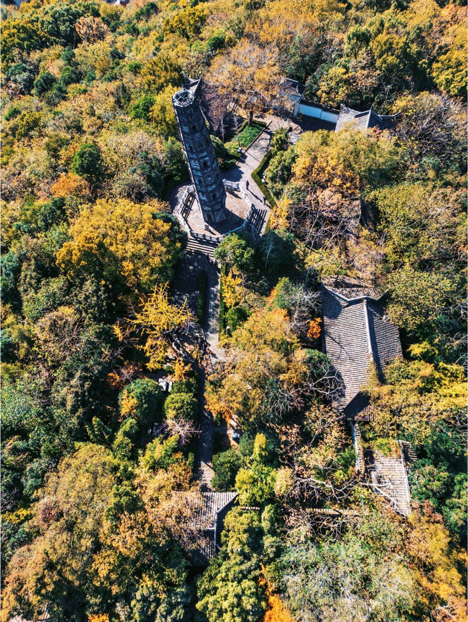 去爬山!这些五彩山林,竟然都在上海!