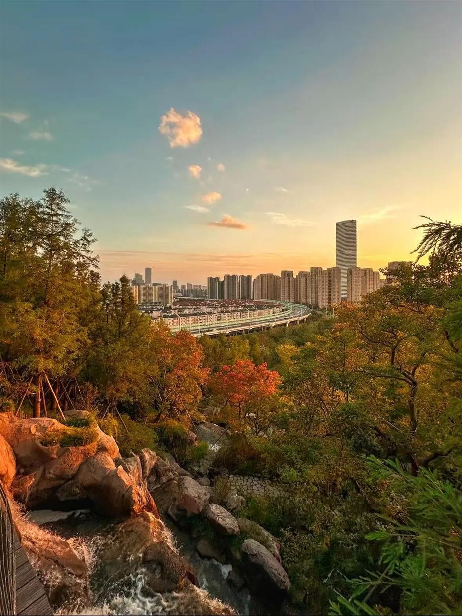 去爬山!这些五彩山林,竟然都在上海!