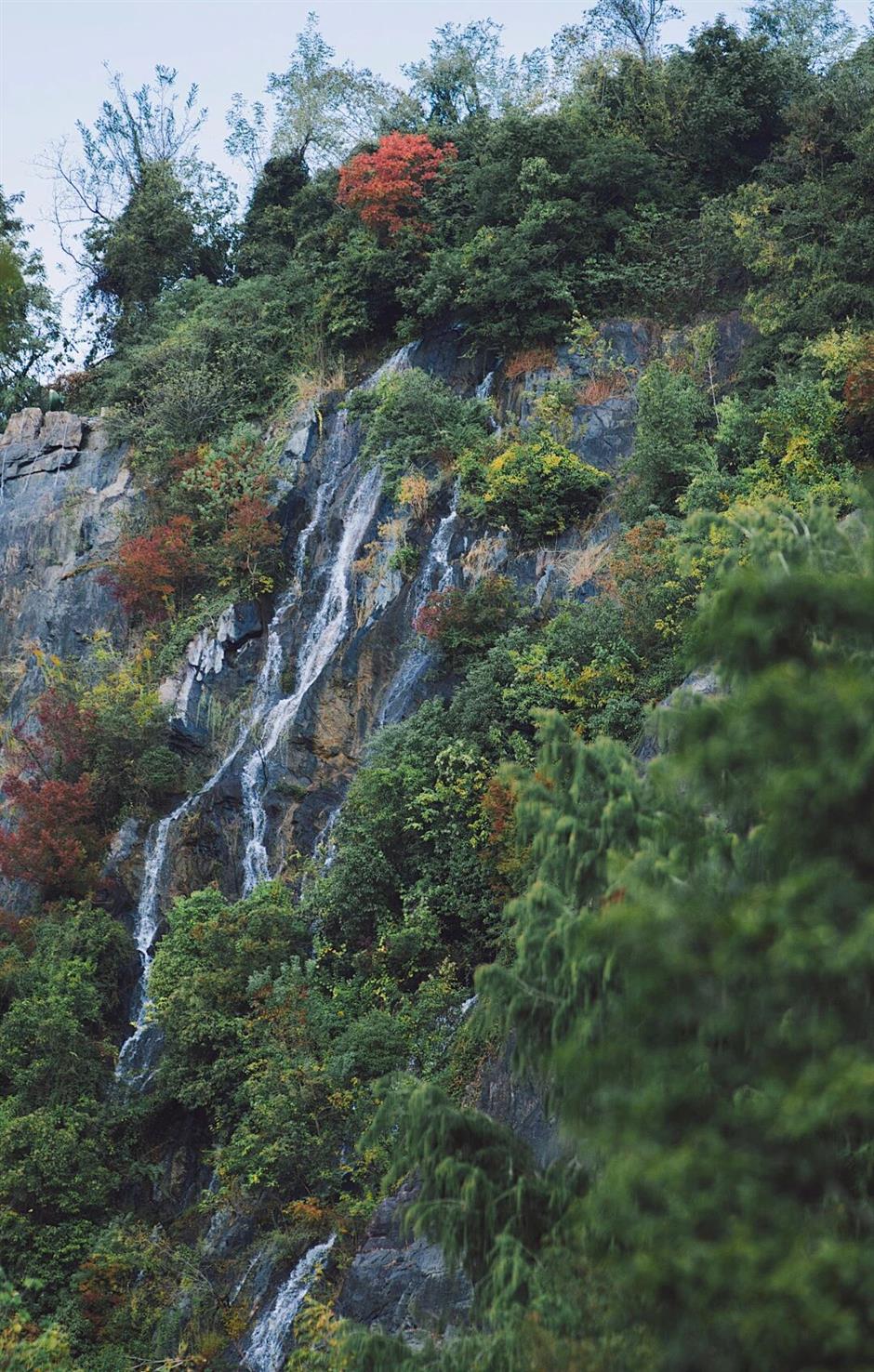 去爬山!这些五彩山林,竟然都在上海!