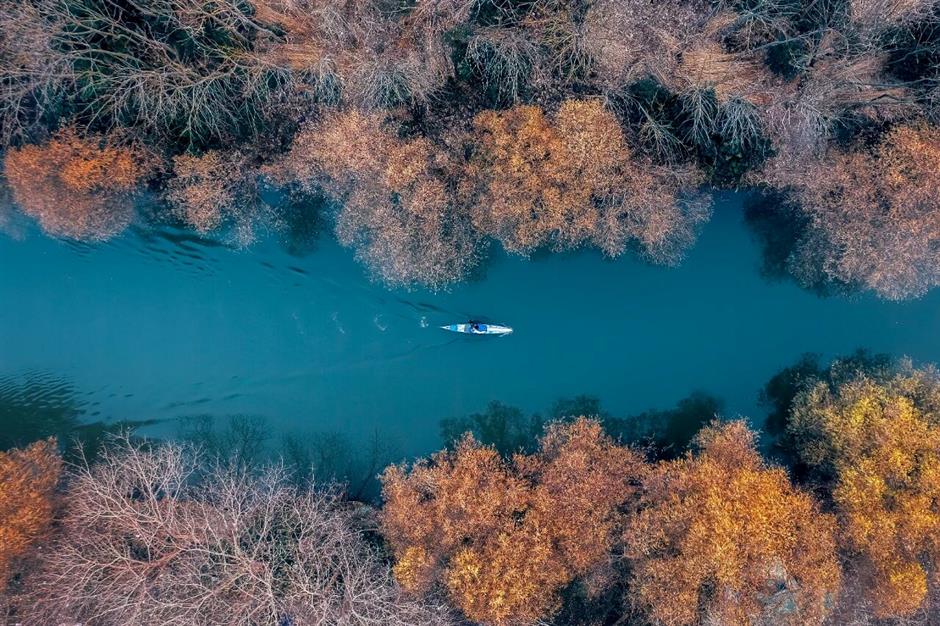 【旅超】10个出片地解锁杨浦的美,真的