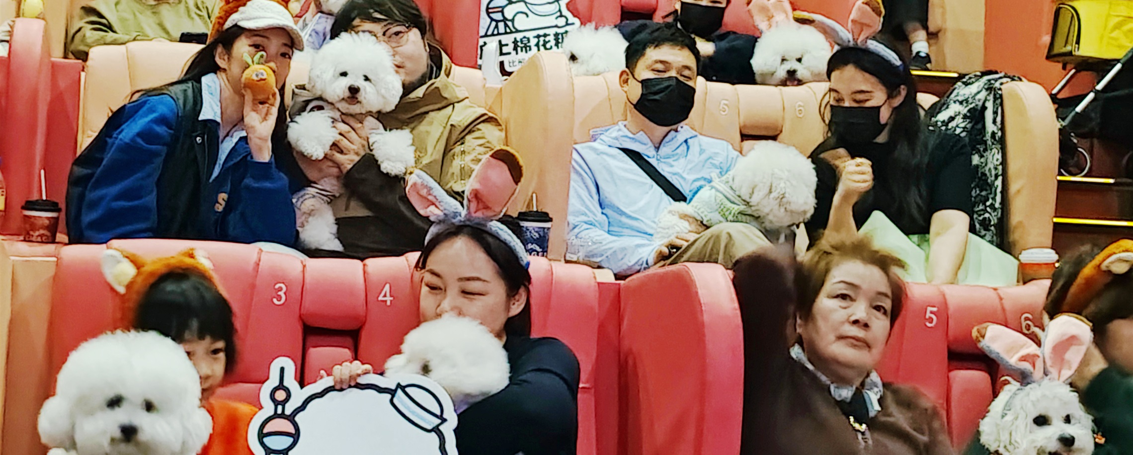 [Quick News] YES, You Can Bring Your Pets to the Cinemas Now!