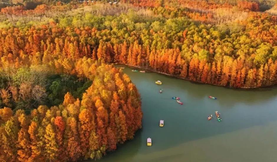 Shanghai's jogging paradise: 3 scenic routes to explore the city