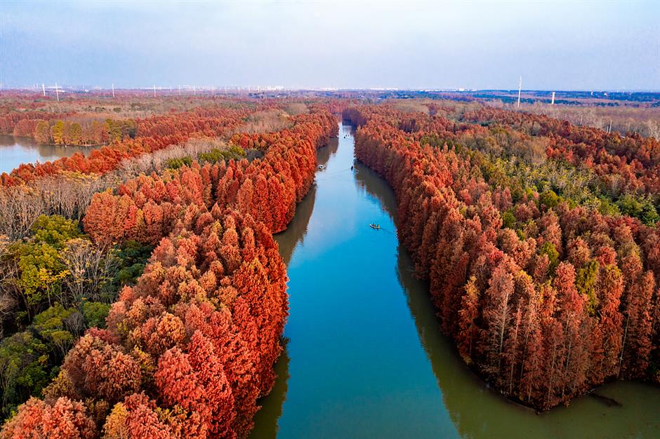 Shanghai's jogging paradise: 3 scenic routes to explore the city