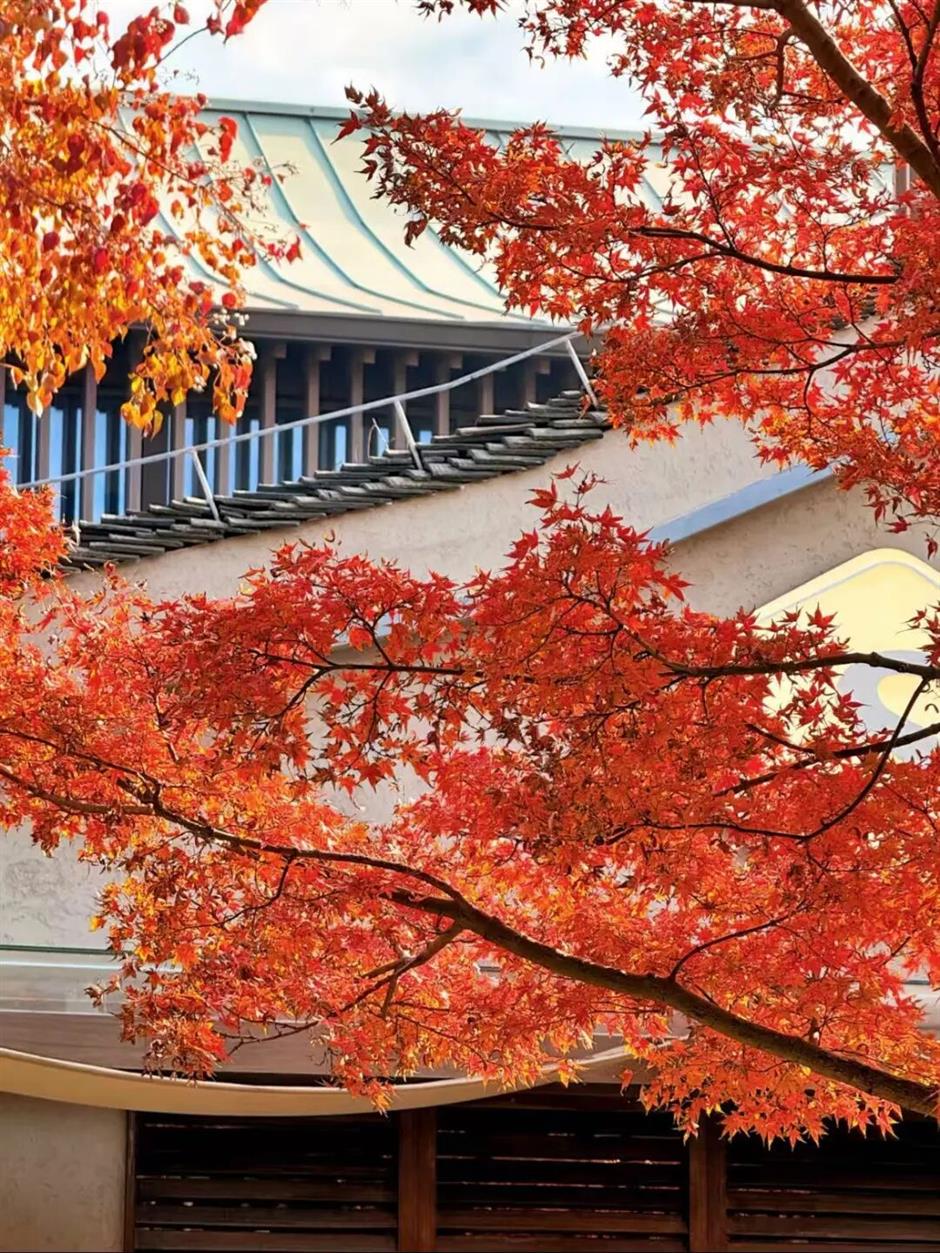 松江秋景開掛!5個寶藏地的紅黃皮膚,限時上線!