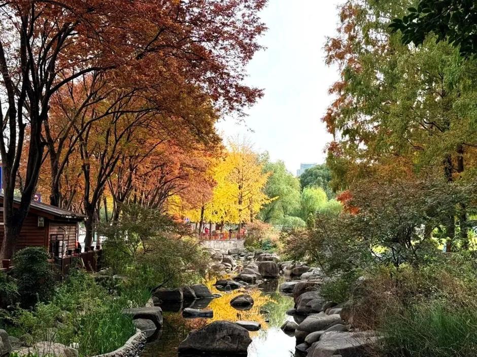 旅超|黄浦这14处打卡地,冬日氛围感拉满!