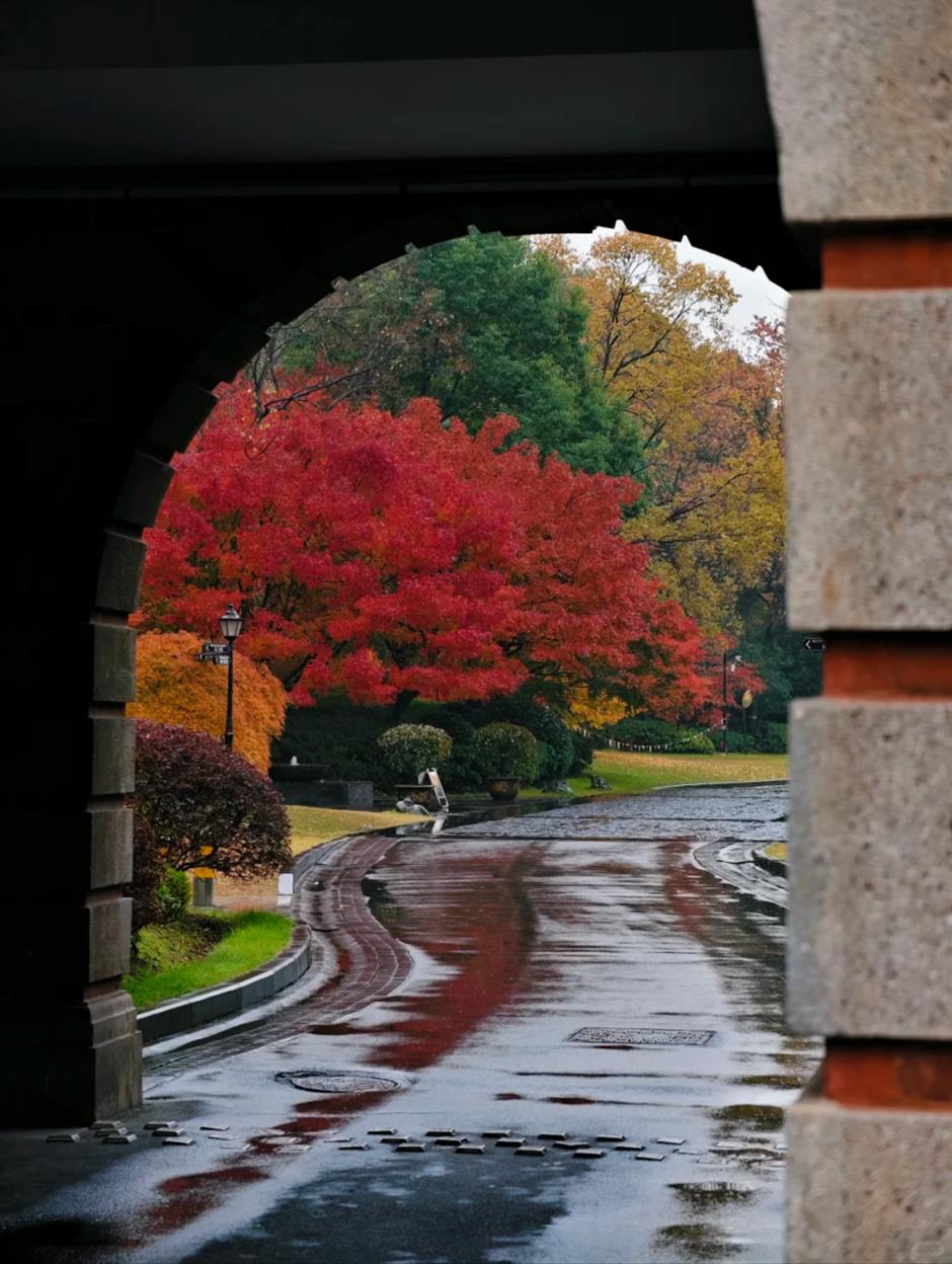 旅超|黄浦这14处打卡地,冬日氛围感拉满!