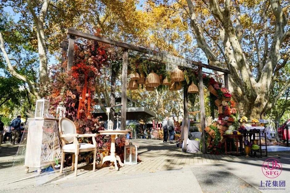 旅超|黄浦这14处打卡地,冬日氛围感拉满!