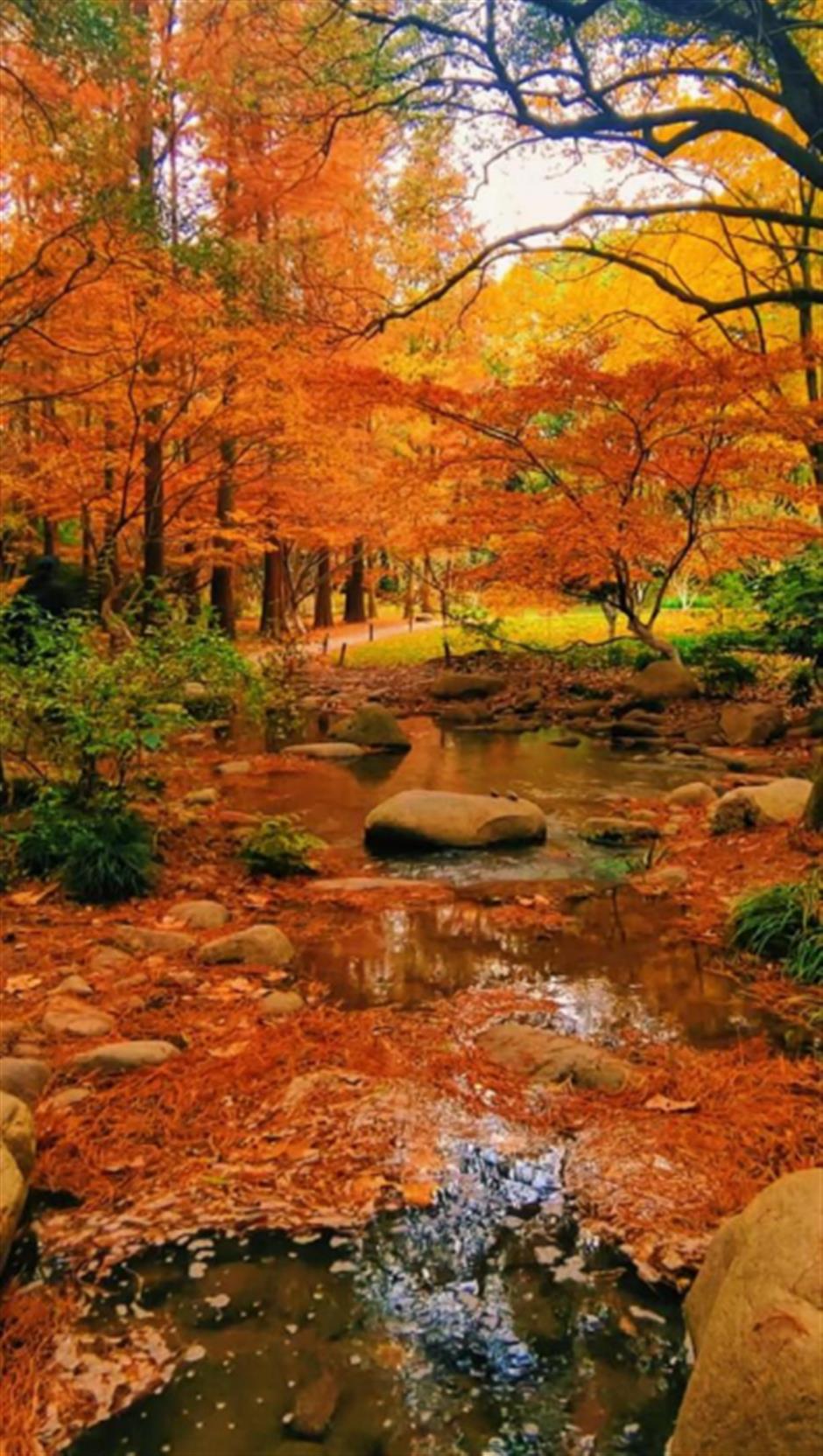 旅超|杨浦人宣布!这条2天1晚游玩线路有料又出片!