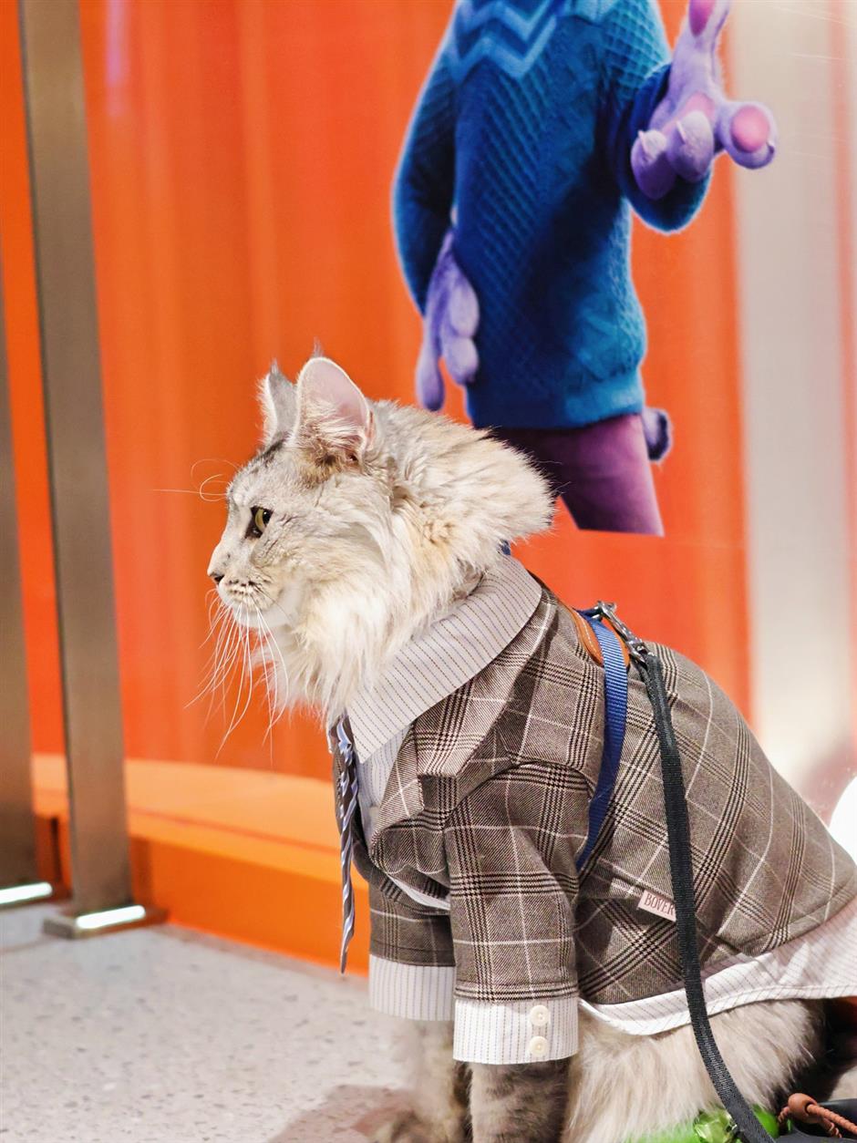 The Day Shanghai's Cats Took Over the Movies