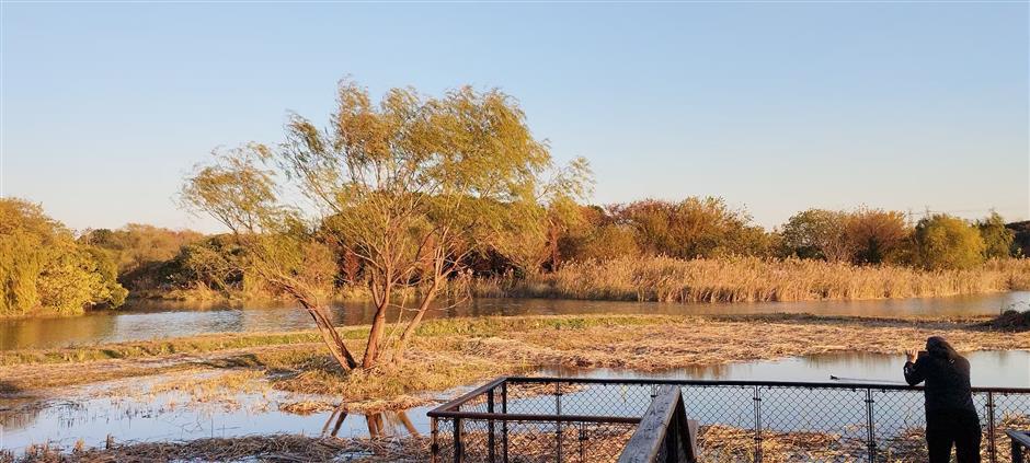 With Shanghai's Outer Ring Forest Belt, A Garden City Takes Shape
