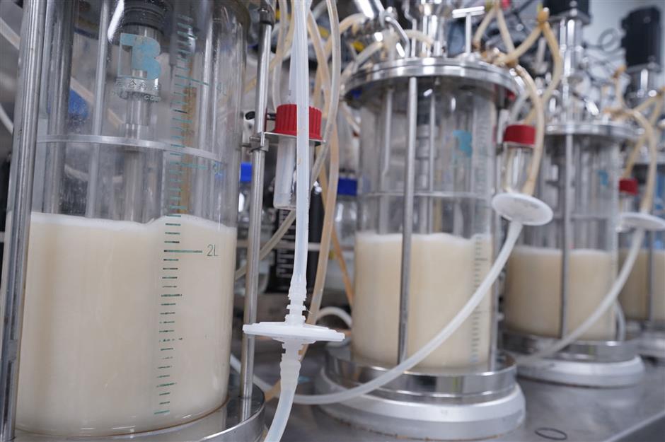 Not All Proteins Are Created Equal. Chinese Biosynthesis Aims at the Best