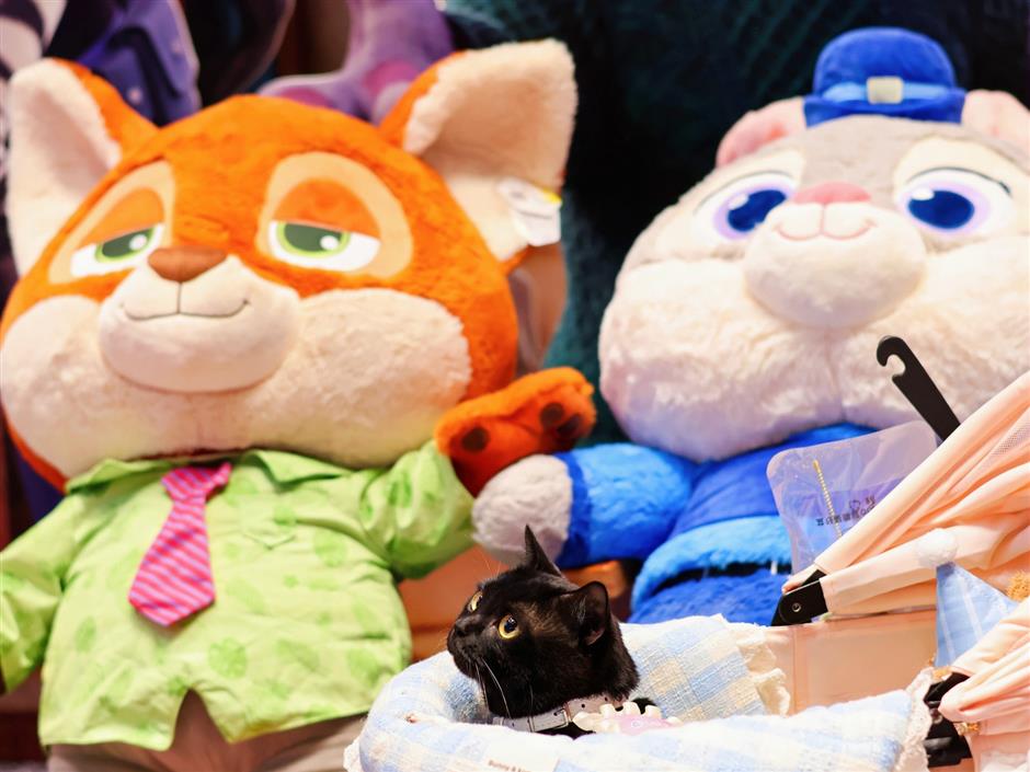 The Day Shanghai's Cats Took Over the Movies