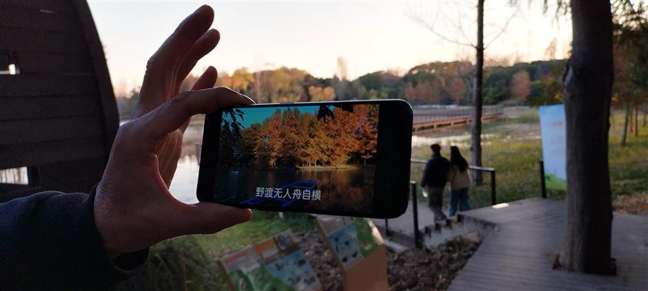 With Shanghai's Outer Ring Forest Belt, A Garden City Takes Shape