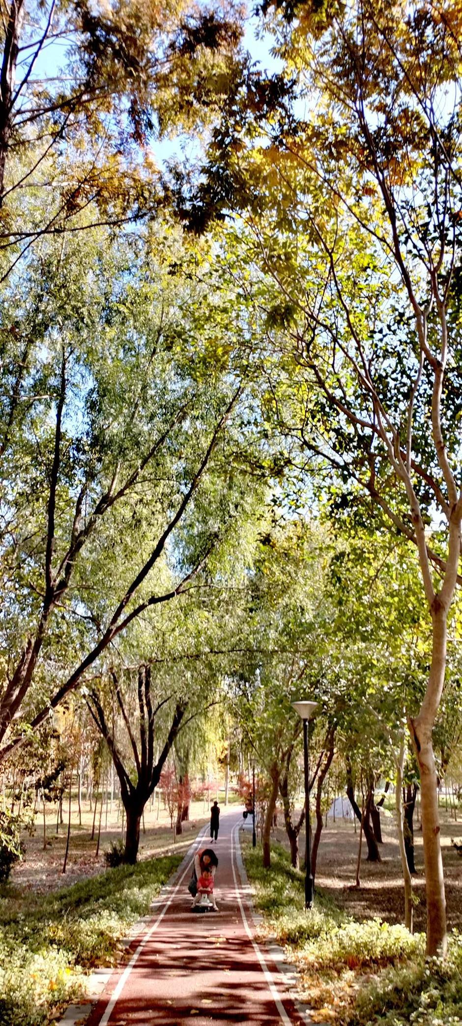 With Shanghai's Outer Ring Forest Belt, A Garden City Takes Shape