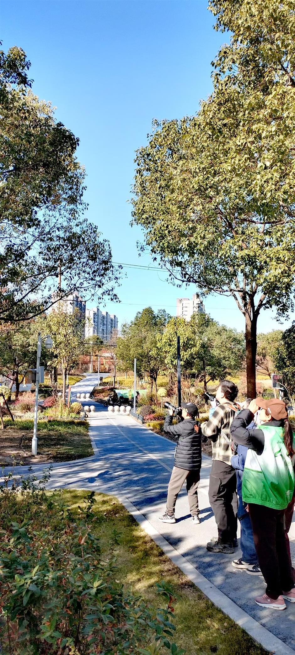 With Shanghai's Outer Ring Forest Belt, A Garden City Takes Shape