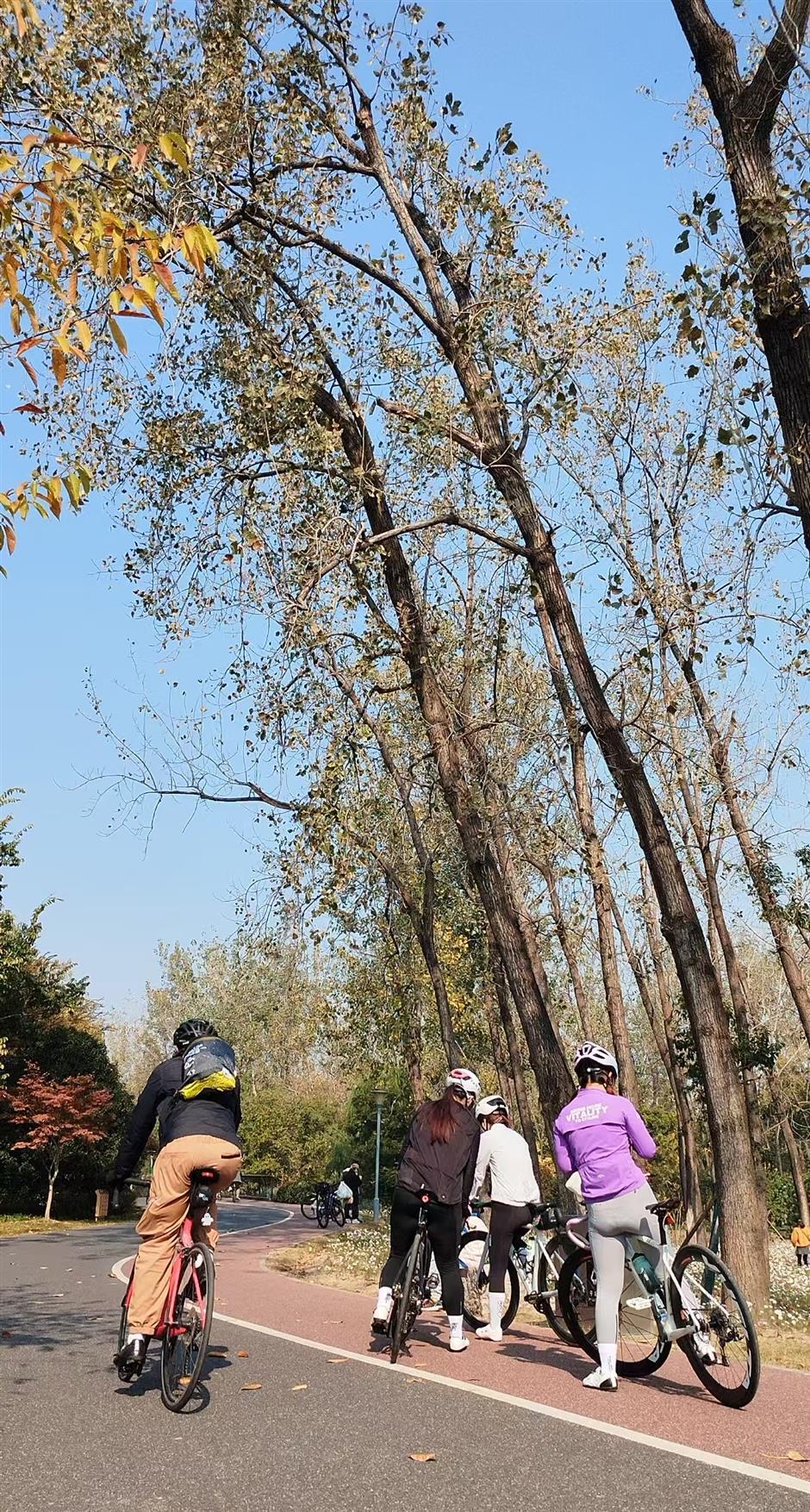 With Shanghai's Outer Ring Forest Belt, A Garden City Takes Shape