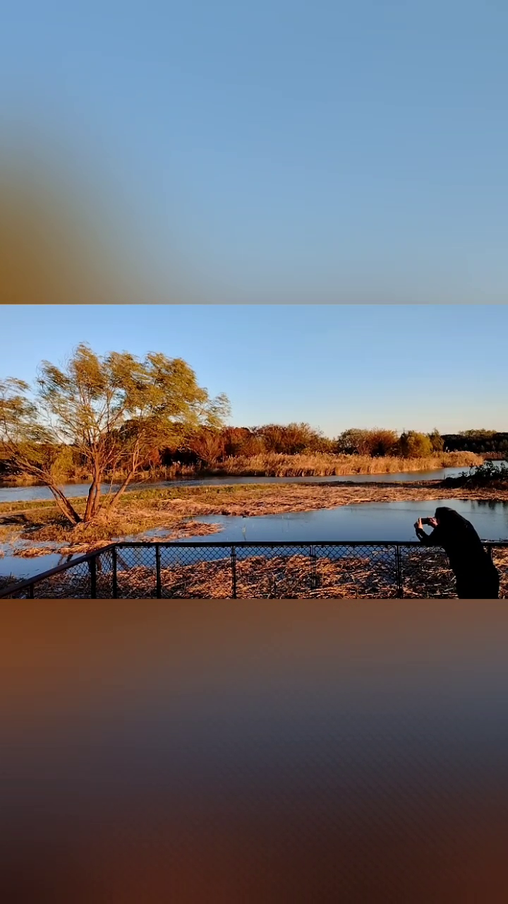 With Shanghai's Outer Ring Forest Belt, A Garden City Takes Shape