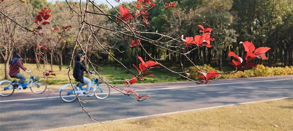 With Shanghai's Outer Ring Forest Belt, A Garden City Takes Shape