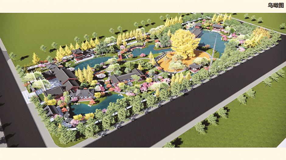 Shanghai's 'No. 0001' Ginkgo Garden Closes for Major Renovation