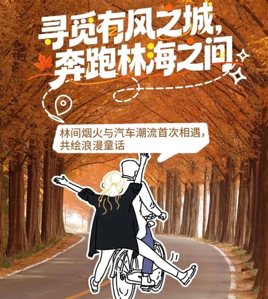 F3+阿信演唱会开票、上野大熊猫百日免费游园、海湾国家森林红叶季……一周文旅生活