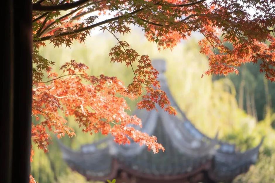 沪上园林,已达颜值巅峰!