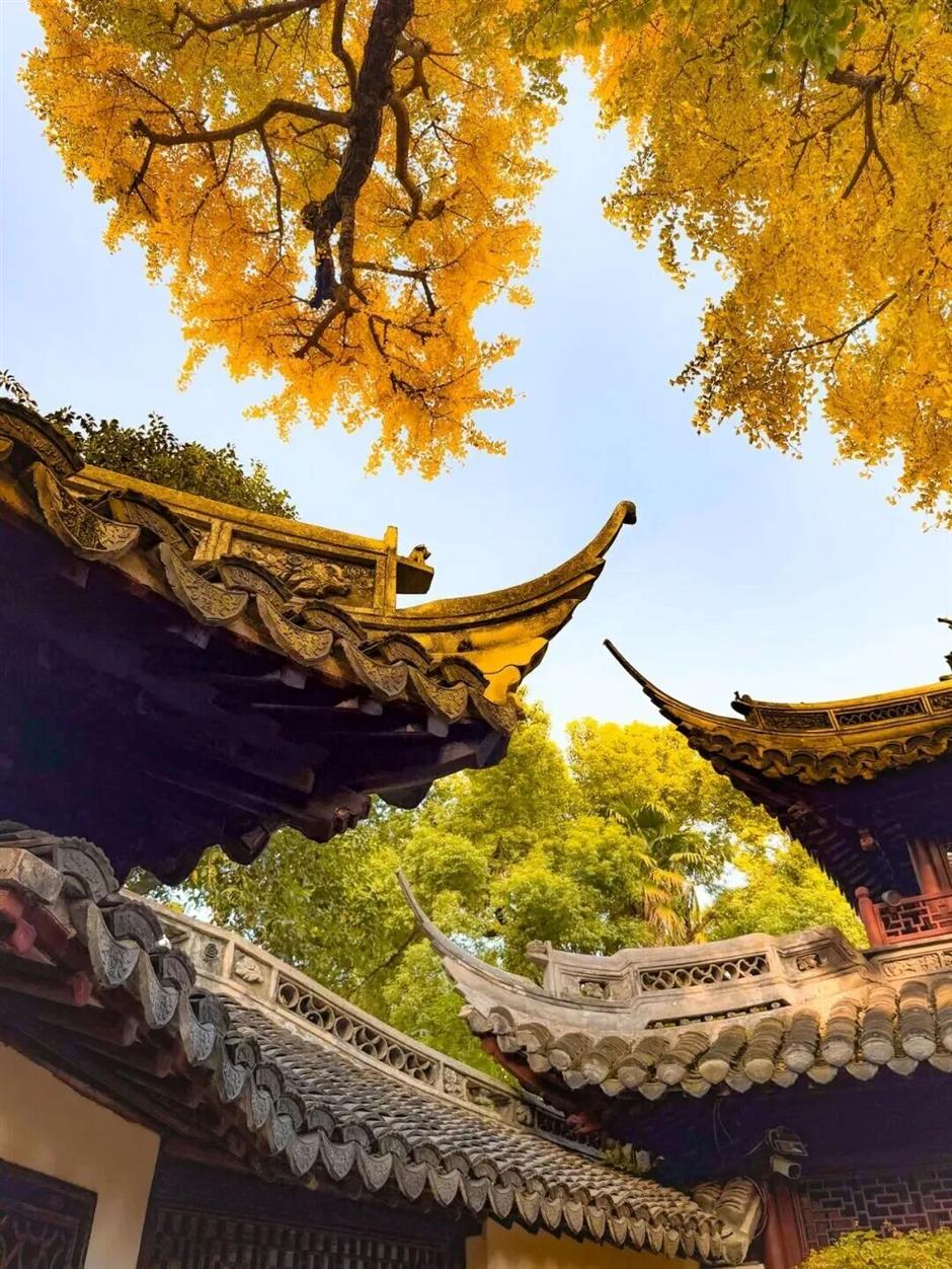 沪上园林,已达颜值巅峰!