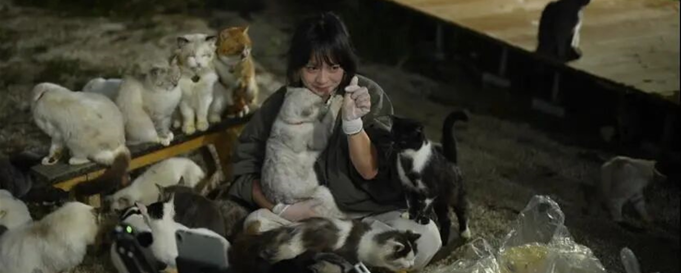 The Woman Who 'Crashes' Weddings to Feed 126 Stray Animals