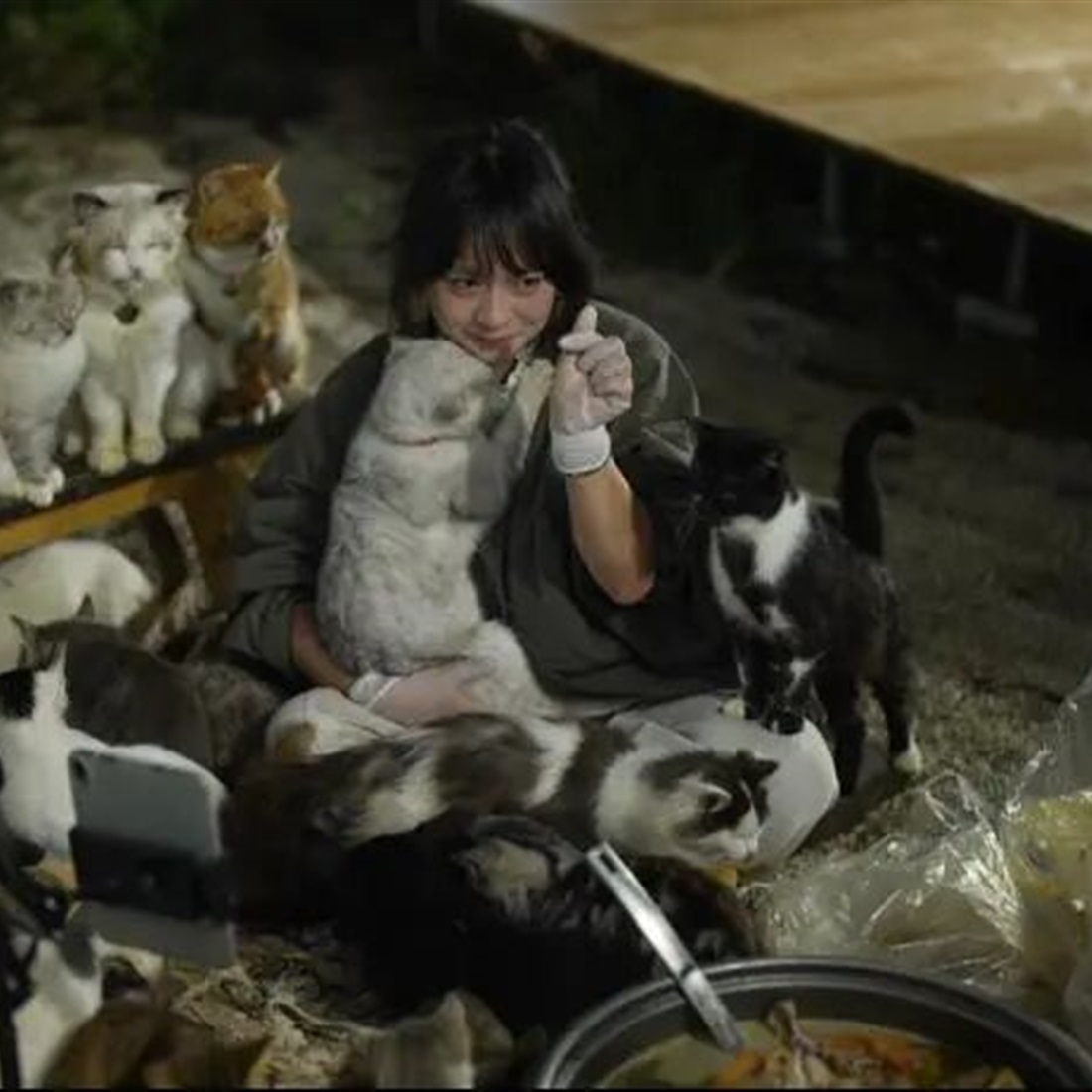 The Woman Who 'Crashes' Weddings to Feed 126 Stray Animals