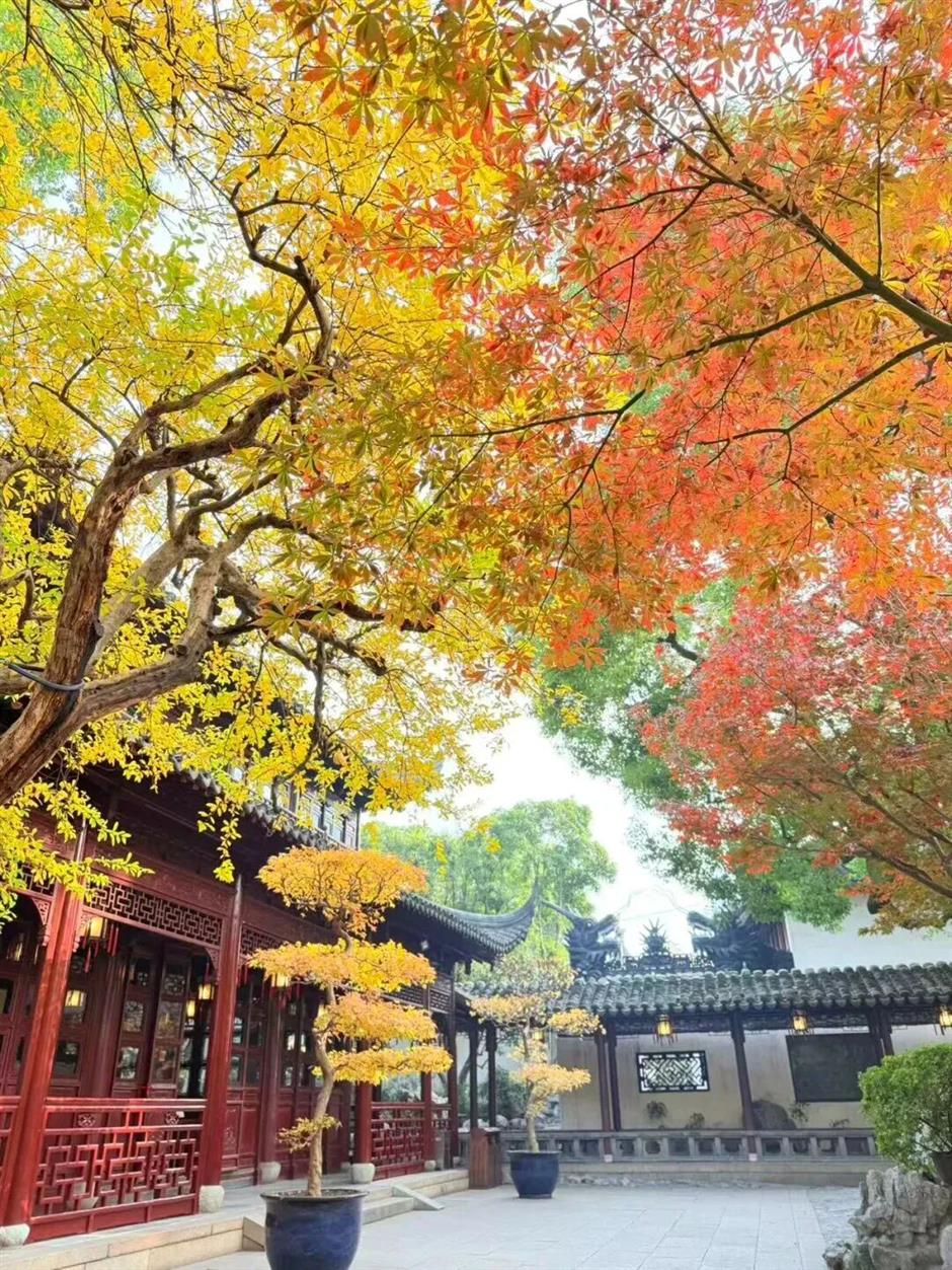 沪上园林,已达颜值巅峰!