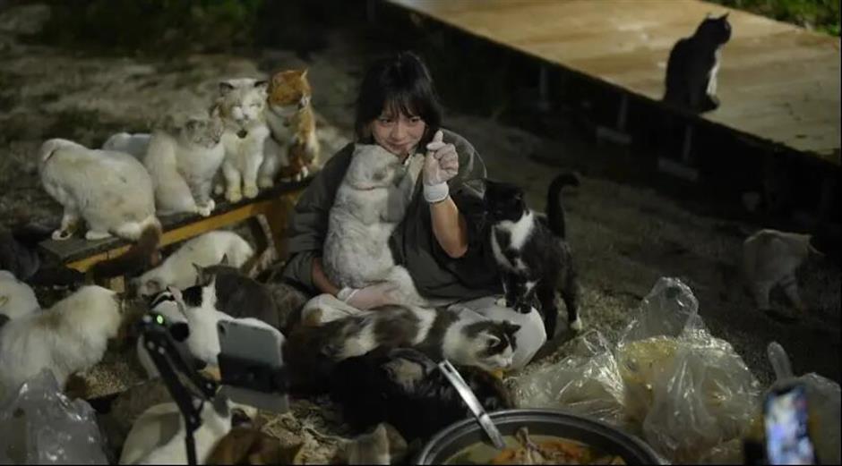 The Woman Who 'Crashes' Weddings to Feed 126 Stray Animals