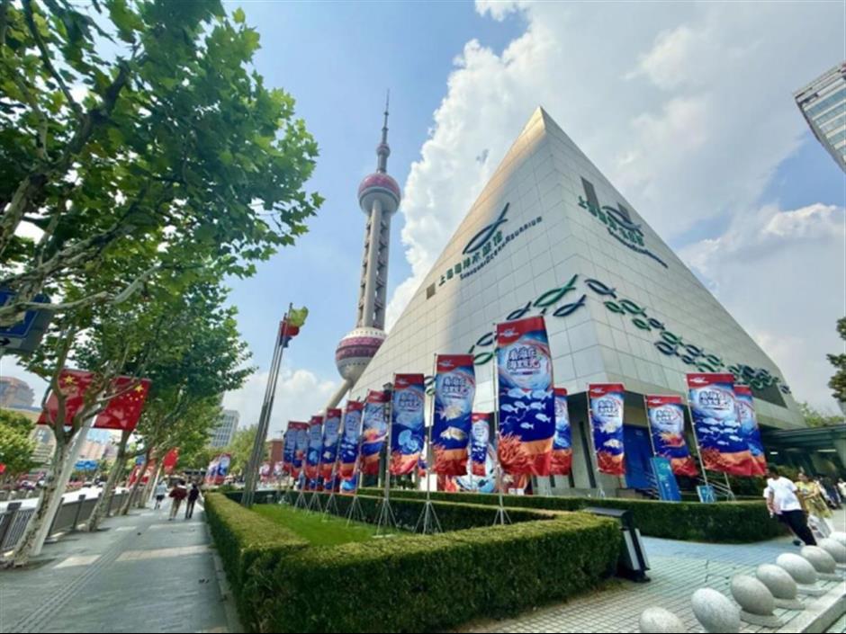 旅超|新品!新体验!本周虹口、浦东优惠福利已就位→