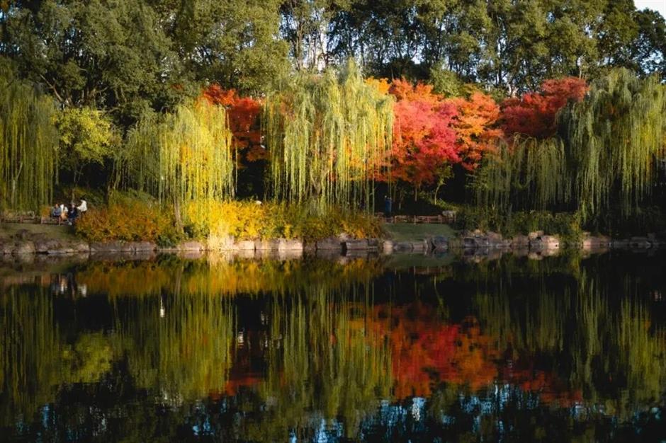 沪上园林,已达颜值巅峰!