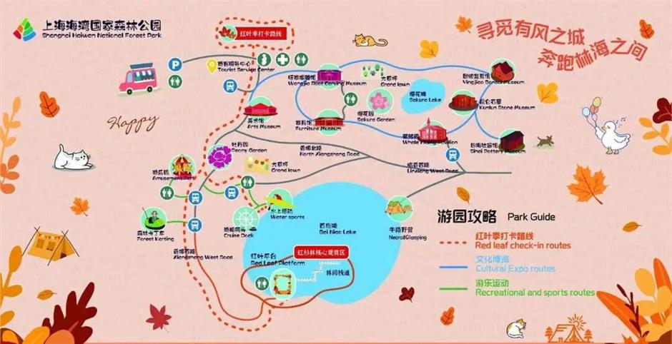 魔都最大水杉林,開始紅了!