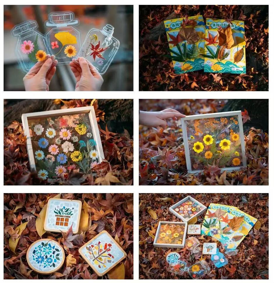 最佳观赏期!上海,红