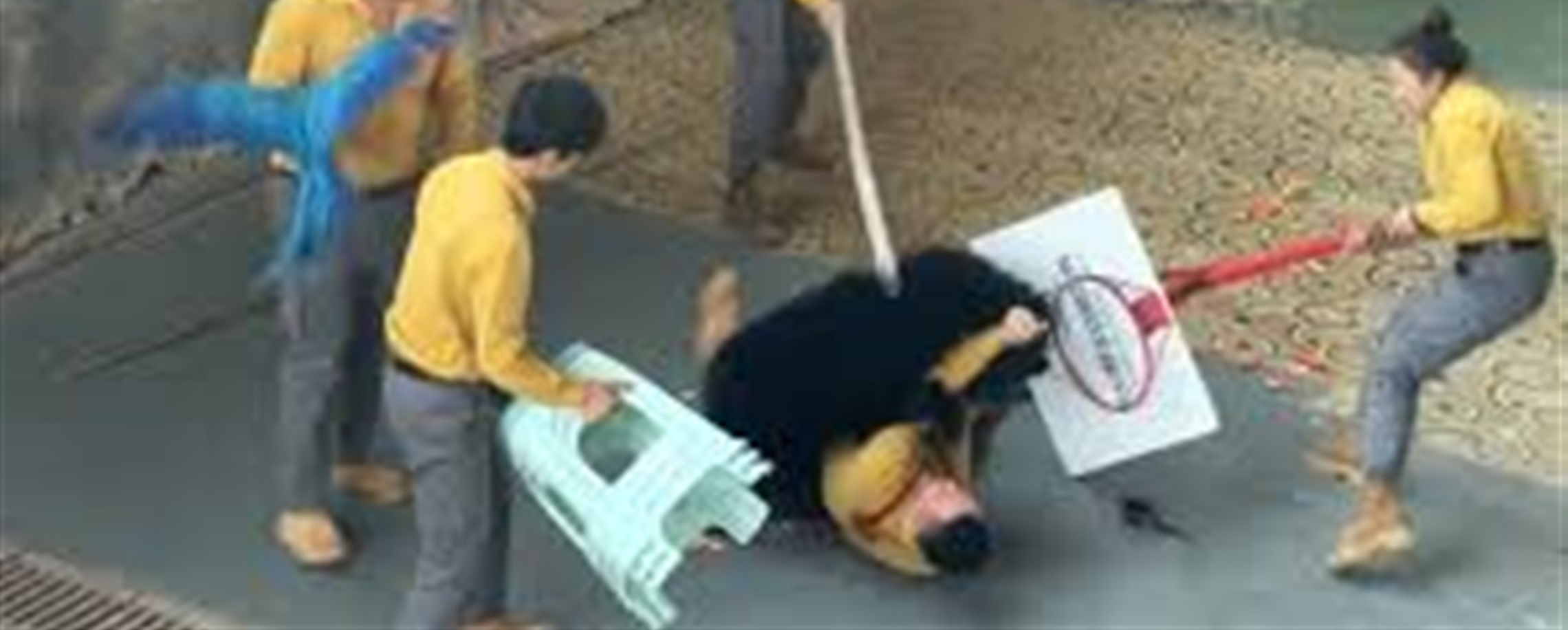 Hangzhou Zoo Permanently Halts Bear Shows After Trainer Scuffle