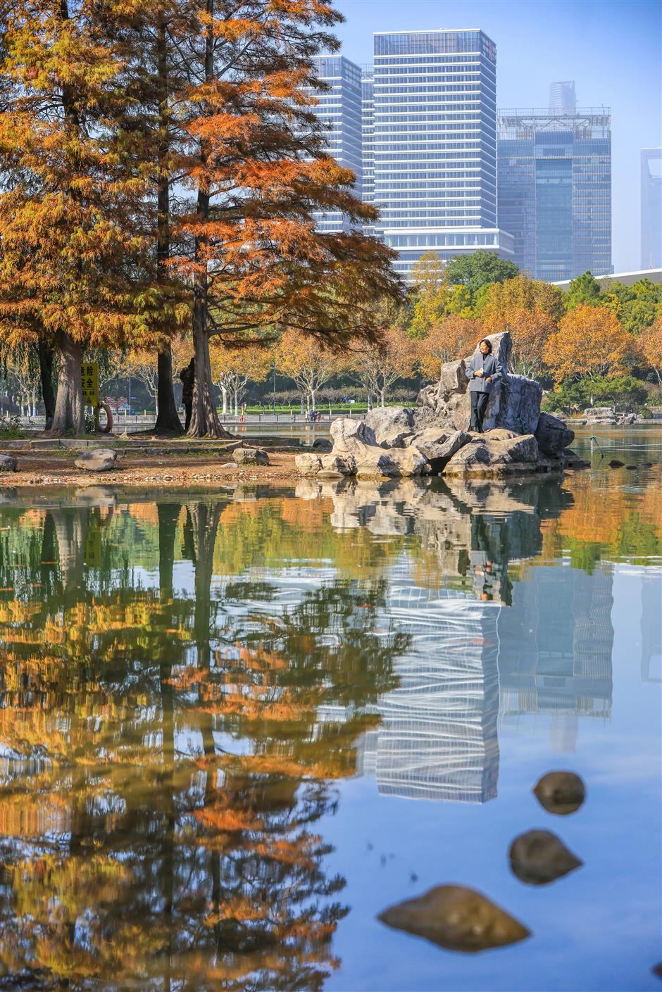 旅超|滴,您有一份璀璨浦东秋冬