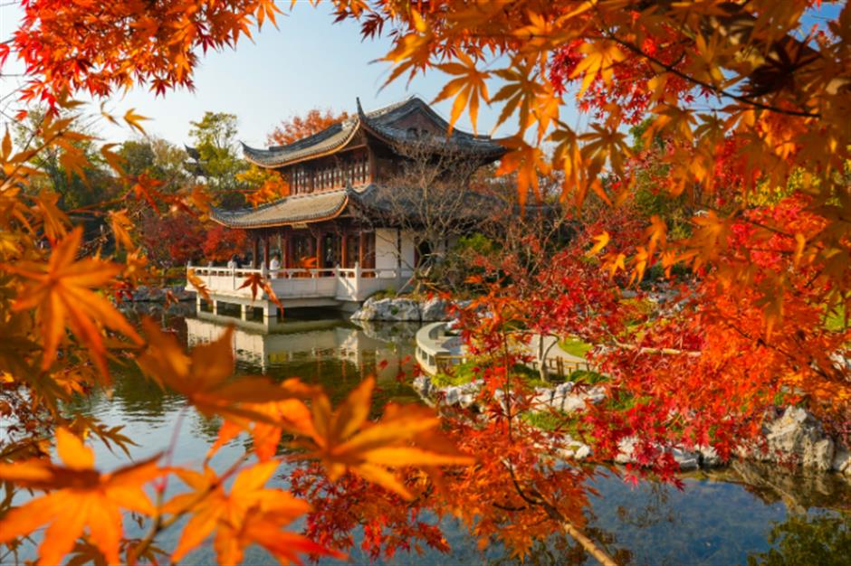 旅超|滴,您有一份璀璨浦东秋冬