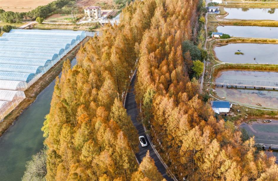 旅超|滴,您有一份璀璨浦东秋冬