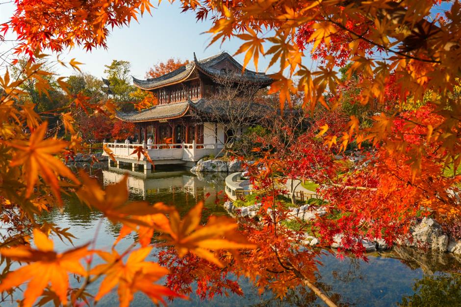 旅超|你知道吗?浦东有一条