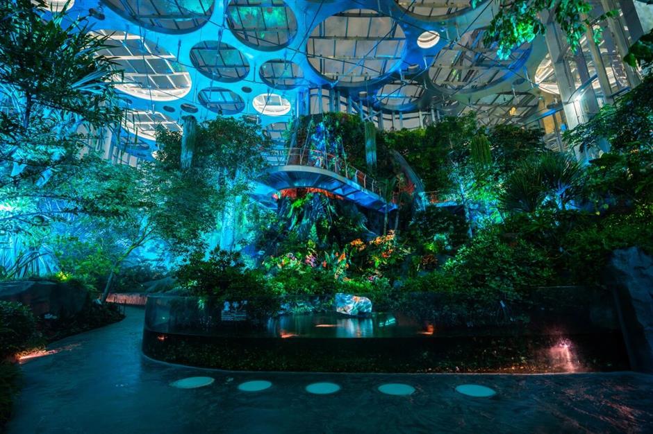 旅超|你知道吗?浦东有一条