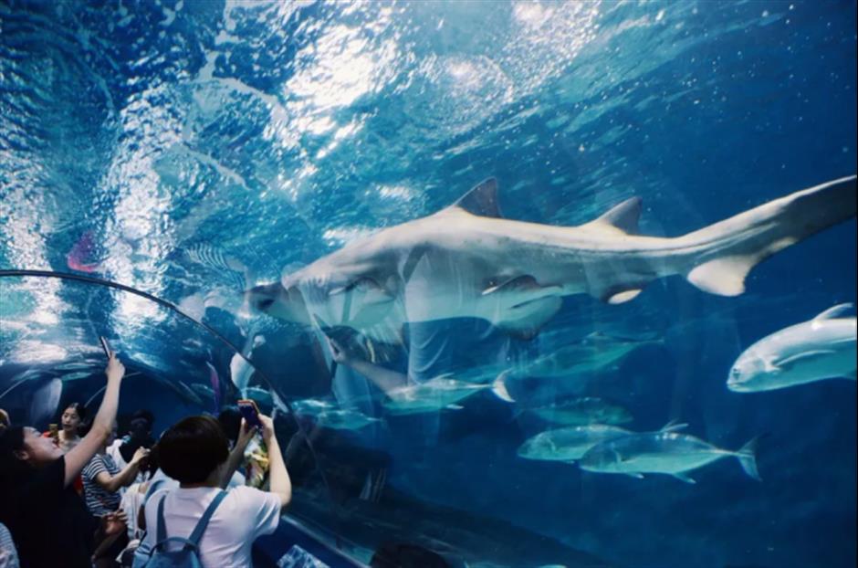 旅超|你知道吗?浦东有一条