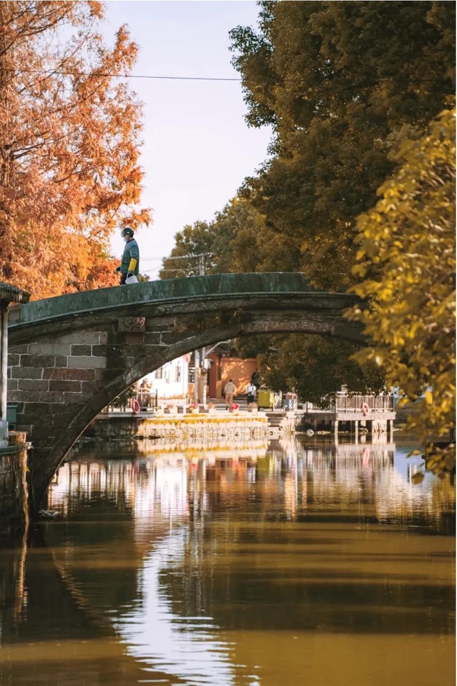 风景绝佳!一条线路串联水杉、古镇、村野,骑行去