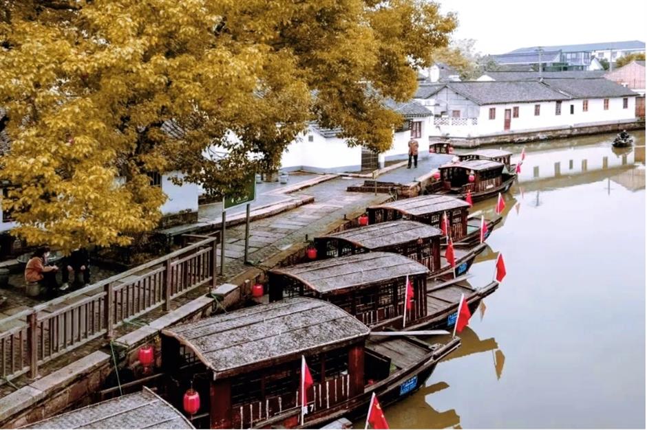 风景绝佳!一条线路串联水杉、古镇、村野,骑行去