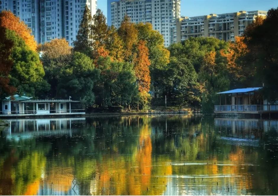 天山公园南区开放、法语音乐剧